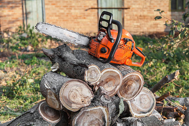 Best Tree Care Services  in Kittitas, WA